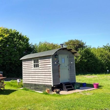 Shepherd'S Lodge - Shepherd'S Hut With Devon Views For Up To Two People And One Smaller Dog Wrangaton Экстерьер фото